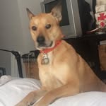 Trill - @roach_coach_ - Instagram