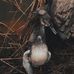 Coby Cook - Facebook