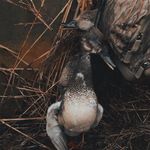 Coby Cook - @coby.cook.509 - Instagram
