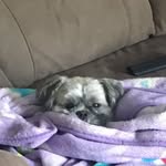 Coby Martinez - @coby_not_kobe_ - Instagram