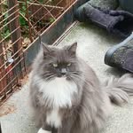 Coby Stewart - @cobystewart80 - Instagram