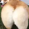 Coby Taylor - @move.ur.fat.ass - TikTok