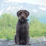 Coby Taylor - @taylor._outdoors - Instagram