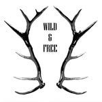 Coby Williams - @wild_and_free_outdrz - Instagram