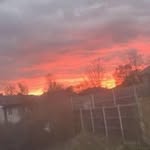 Coby Williams - @coby6655 - Instagram