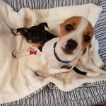 Carson and Coco - @carson_and_coco - Instagram