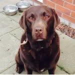 Coco Carson - @c_o_c_o_xx - Instagram