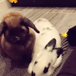 coco_carson - @coco_carson3574 - Instagram