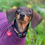 Coco Carson - @sausageinthecity - Instagram