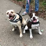 The.carson_n_coco - @the.carson_n_coco - Instagram