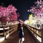 coco - @_coco_chen_ - Instagram