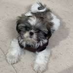 Coco - @cocococoacutie - Instagram