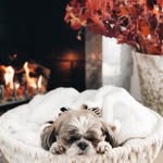 Coco💋 - @_coco_cunningham_ - Instagram