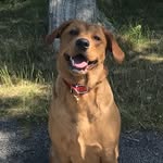 CoCo - @cococunningham2017 - Instagram