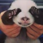 Coco Cunningham - @cocobubble - Instagram