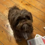 Coco Cunningham - @coco_bean.242 - Instagram