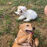🤎𝓑𝓮𝓽𝓽𝔂, 🤍𝓒𝓸𝓬𝓸, 🖤𝓗𝓮𝓵𝓵𝓮𝓷 𝓮 💙𝓓𝓻𝓪𝓴𝓮 - @betty_coco_hellen_and_drake_ - Instagram