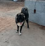 Coco Triki - Facebook