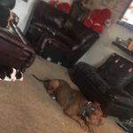 Coco.Bentley.drake - @coco_bentley_ - Instagram