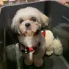drakeycoco shop - @drakeycoco - TikTok