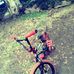 Coco Enriquez - Facebook