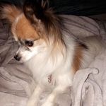 coco enriquez 🐶 - @coco_enriquez_26 - Instagram