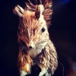 CoCo Fair - @cocolews - Instagram