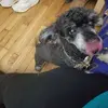 Coco flores - @coco.flores1 - TikTok