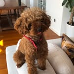 Coco Foster - @cocos_bigadventure - Instagram