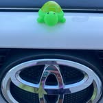 Coco Foster - @turtleatoyota - Instagram