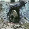 foster_coco - @foster_coco - TikTok
