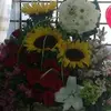 coco gallegos - @gallegosuribe - TikTok