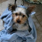 CocoGarrett - @cocogarrett77 - Instagram