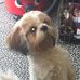 CoCo Graham - Facebook