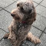Coco Graham - @coco_graham123 - Instagram