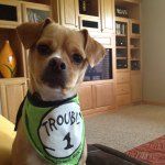 Kody - @coco_graham1414 - Instagram