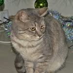 Coco Gray - @graycoco - Instagram