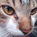 Coco Gray Graña Romero - @coco.gray10 - Instagram