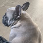 Coco - @miss_cocogray - Instagram