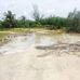Coco Bay Beach, Green Turtle Cay - Facebook