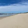 coco_green1 - @coco_green1 - TikTok