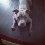 Coco Harrison - @harrison.coco - Instagram
