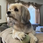 Coco Harrison - @harrison.moment - Instagram