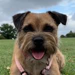 The Life Of Coco - @cocoharrison11 - Instagram
