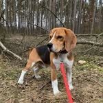 Coco Ambi Hermanos - @coco_hermanos - Instagram