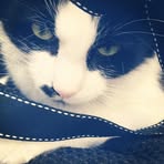 Coco Higgins - Facebook
