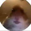 High hells - @...cocohigheels - TikTok