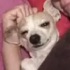 highcoco - @high_coco - TikTok