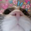coco_hu - @coco_hu - TikTok
