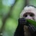 COCO hu hu - Facebook